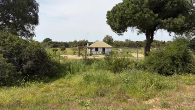 Casa en Campo photo 5