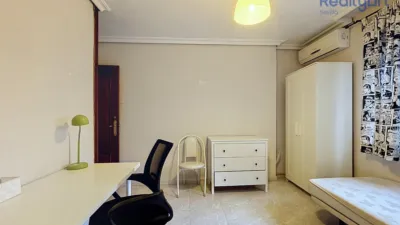 Apartment in López de Gomara photo 16