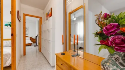 Pis – Torrevieja - Vista 4
