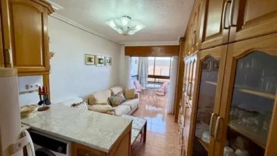 Apartment on Carrer Bogavante photo 2