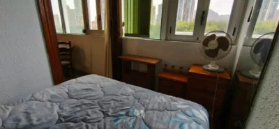 Apartment in Juzgados photo 5