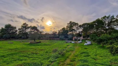 Rustic Finca in Algaida photo 4