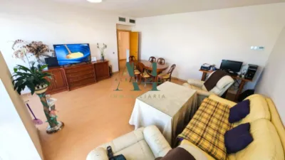 Apartment in Casa Plata photo 13