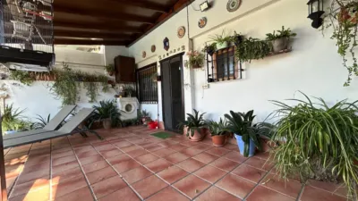 House on Calle Veredon de los Mochos photo 8