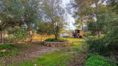 Rustic Finca in Algaida photo 24