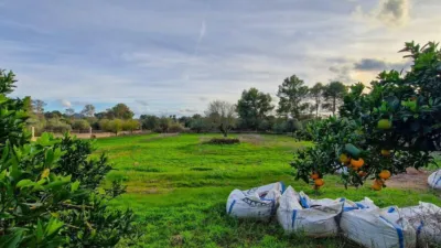 Rustic Finca in Algaida photo 23