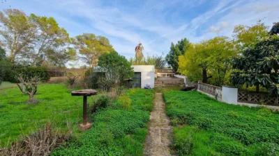 Rustic Finca in Algaida photo 15