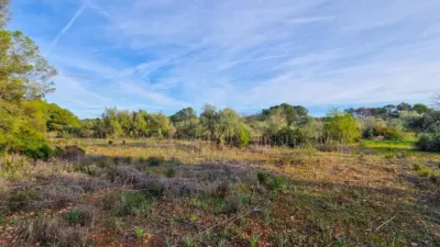 Rustic Finca in Algaida photo 18