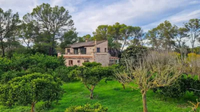 Rustic Finca in Algaida photo 3