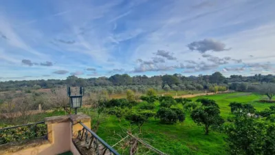 Rustic Finca in Algaida photo 8