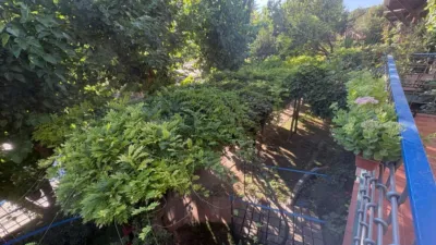 Rustic Finca in Andalucia photo 19