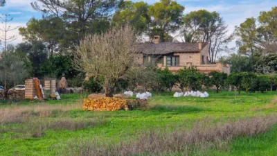 Rustic Finca in Algaida photo 2