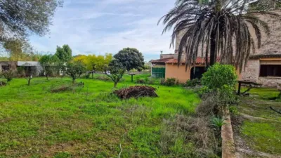Rustic Finca in Algaida photo 10
