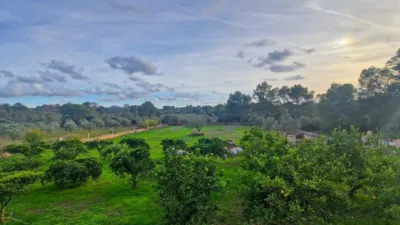 Rustic Finca in Algaida photo 9