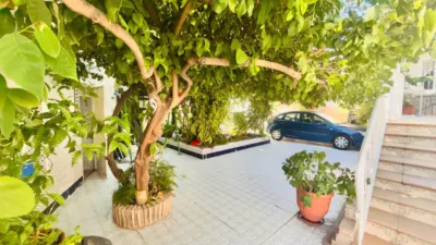 House on Calle Floridablanca in La Raya, 44 photo 47