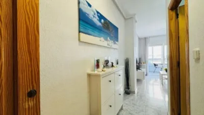 Pis – Torrevieja, La Mata - Vista 4