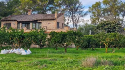 Rustic Finca in Algaida photo 7