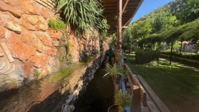 Rustic Finca in Andalucia photo 70