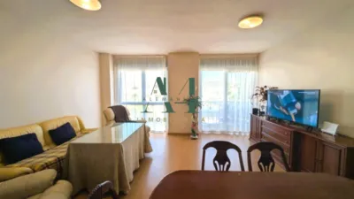 Apartment in Casa Plata photo 12