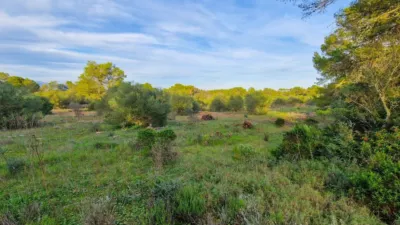 Rustic Finca in Algaida photo 16