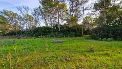 Rustic Finca in Algaida photo 19