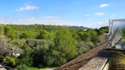 Penthouse in La Bonanova - Porto Pi photo 12