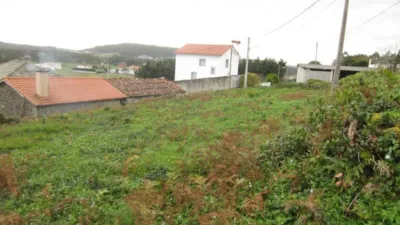 House in Cerqueda photo 7