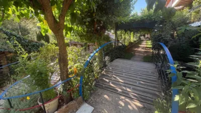 Rustic Finca in Andalucia photo 50