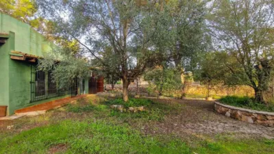 Rustic Finca in Algaida photo 26