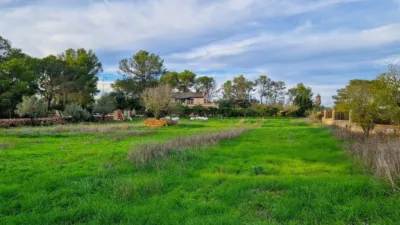 Rustic Finca in Algaida photo 17