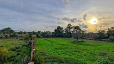 Rustic Finca in Algaida photo 20