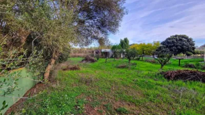 Rustic Finca in Algaida photo 13