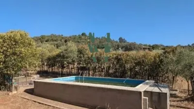 Chalet en La Montaña photo 4