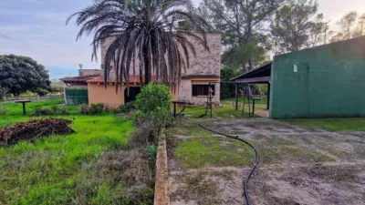 Rustic Finca in Algaida photo 25