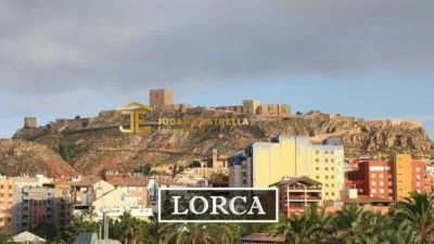 Apartment in Virgen de Las Huertas photo 5