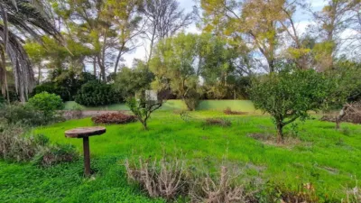 Rustic Finca in Algaida photo 14