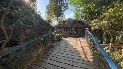 Rustic Finca in Andalucia photo 53