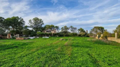 Rustic Finca in Algaida photo 21