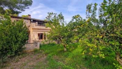 Rustic Finca in Algaida photo 6