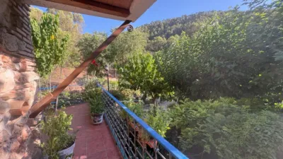 Rustic Finca in Andalucia photo 16
