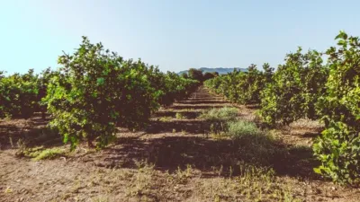 Rustic Finca in Rústica photo 18