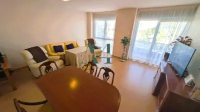 Apartment in Casa Plata photo 11