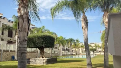 Piso – Torrevieja - Vista 3