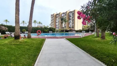 Pis – Alicante - Alacant - Vista 4