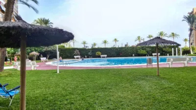Pis – Alicante - Alacant - Vista 5