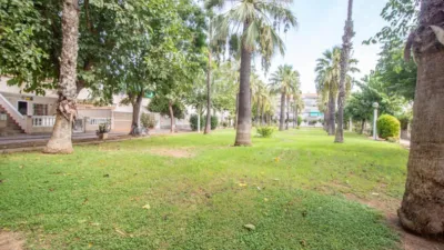 Apartment in Campoamor photo 17