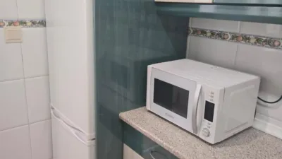 Apartment in Fiesta del Arbol photo 18