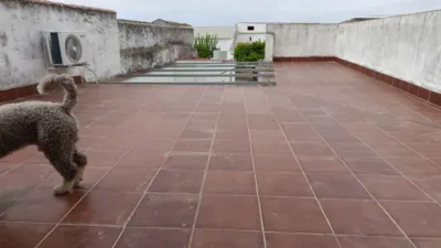 House in Andalucia photo 18