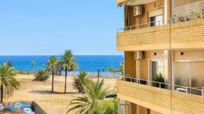 Pis – Torrevieja - Vista 2
