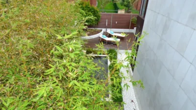 Chalet in Barrio de Portio photo 43